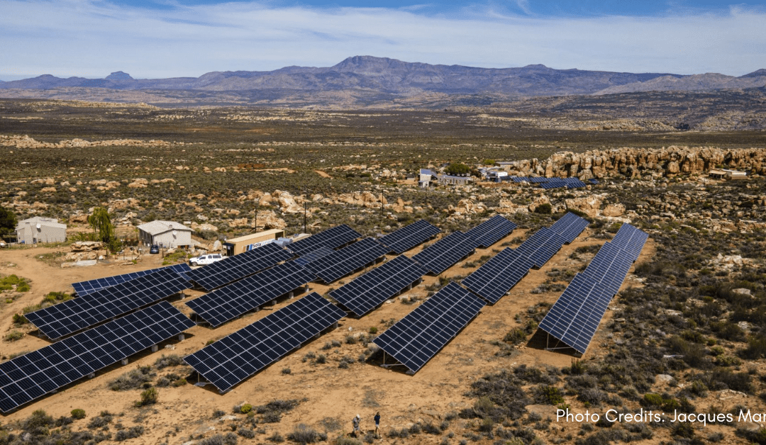Evolution: A Solar Event
