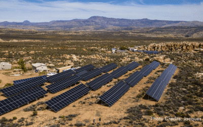 Evolution: A Solar Event