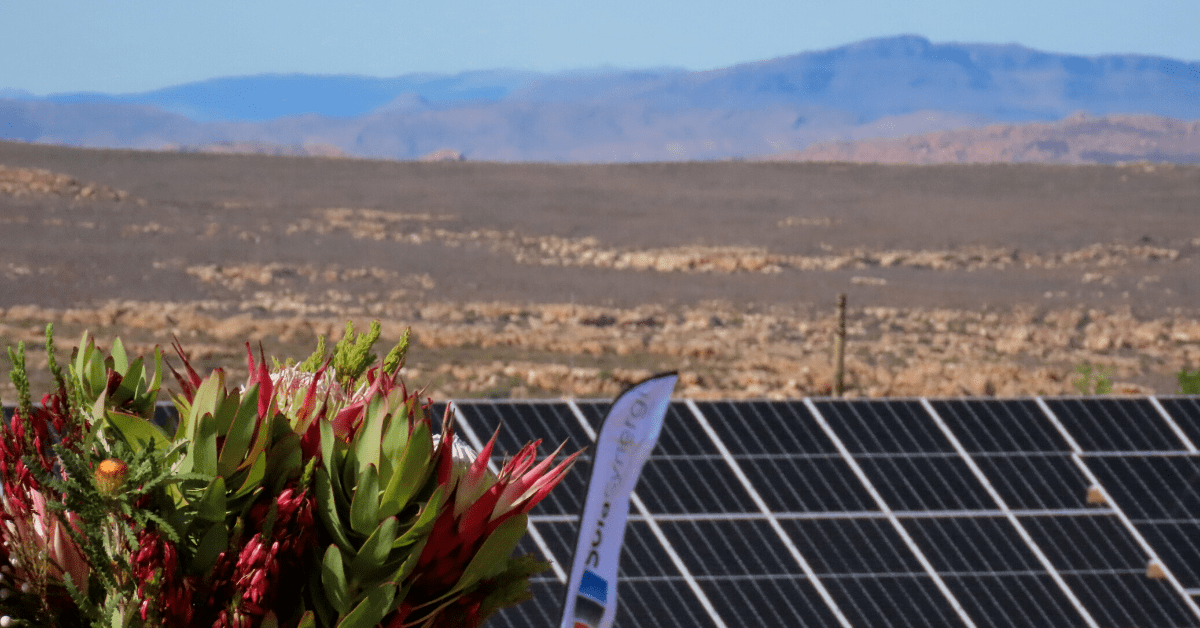 The Solar Farm at Kagga Kamma Nature Reserve