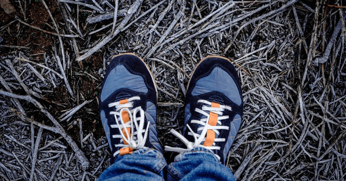 Walking Shoes for a Hike