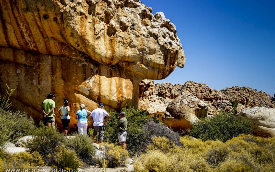 San Hacks, Culture and Fascination with THE Eland:  Six Interesting Facts You Have to Know About the San People of Southern Africa